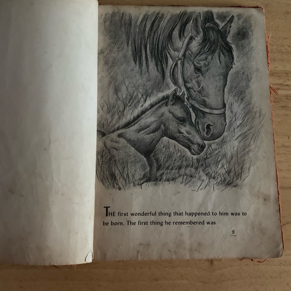 Wonderful Things! by Zhenya Gay - Picture 4 of 12